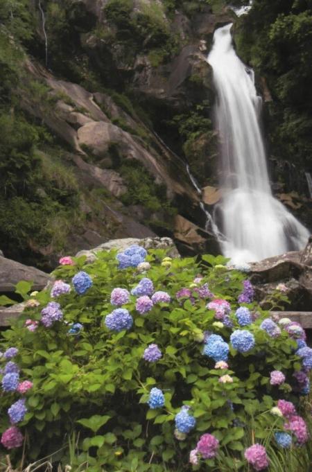 優秀賞②  長谷川 裕二 様  長崎県