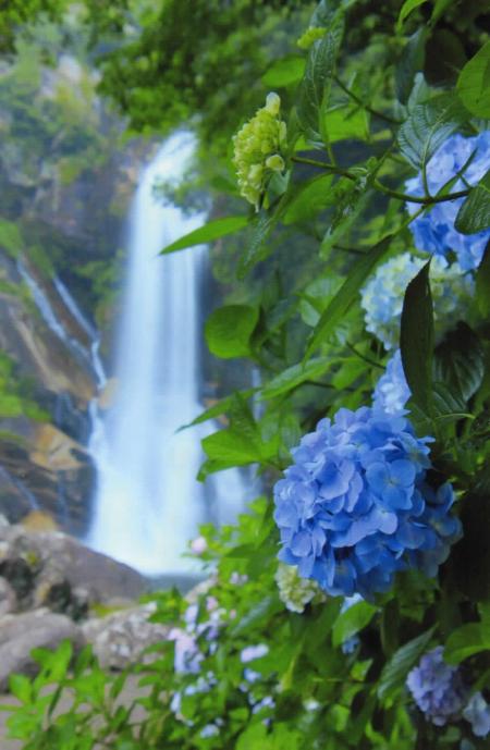 最優秀賞  眞舩 正行 様  福岡県