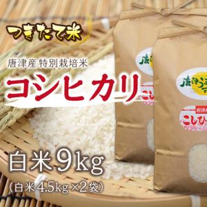 令和7年 上場産コシヒカリ 4.5kg×2袋 当選者数:3名様