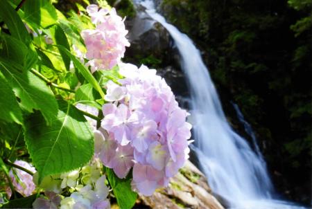 優秀賞  成清 平和 様 福岡県