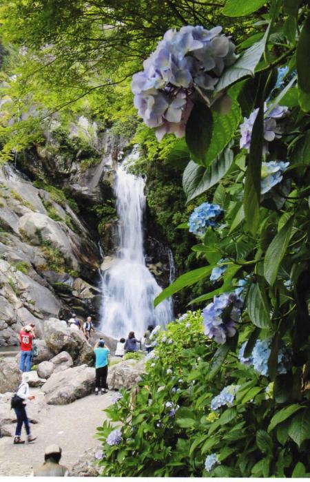 優秀賞 上田 ひさ子 様