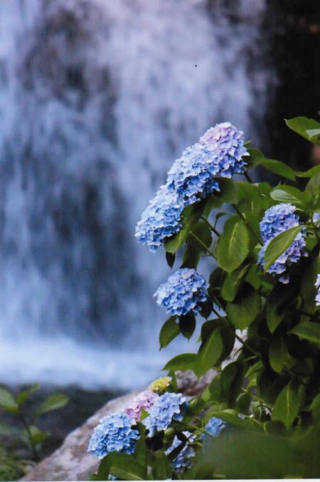 優秀賞 眞舩 正行 様