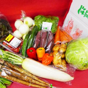 野菜詰合せセット 当選者数:5名様