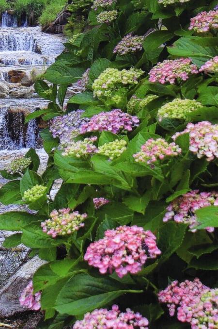 優秀賞①  川原 義則 様  伊万里市