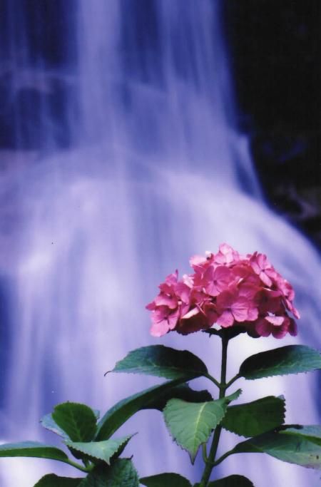 佳作 内田 眞一郎 様