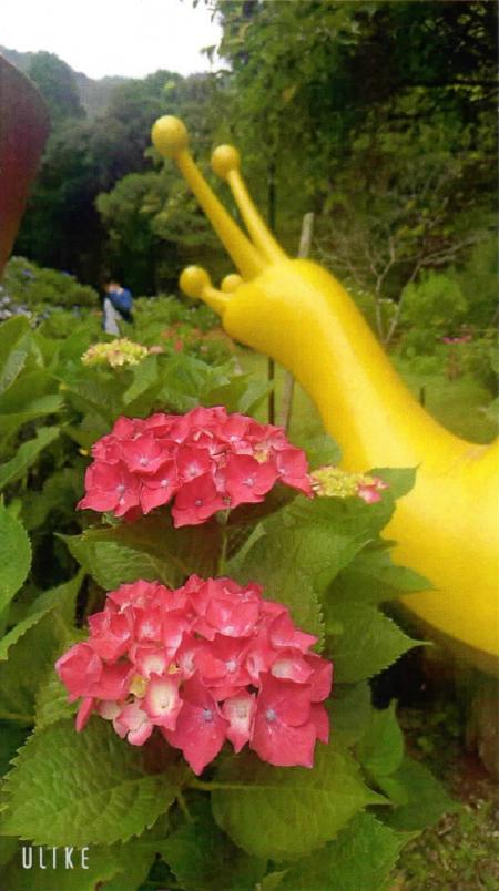 優秀賞  森永 陽子 様 鹿島市