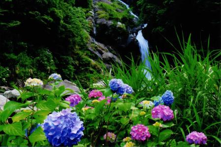 優秀賞  福原 良一 様 基山町