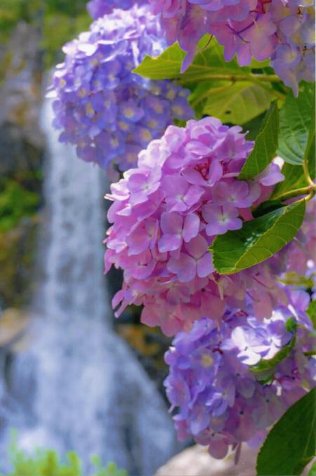 最優秀賞  松尾 智恵 様 福岡県