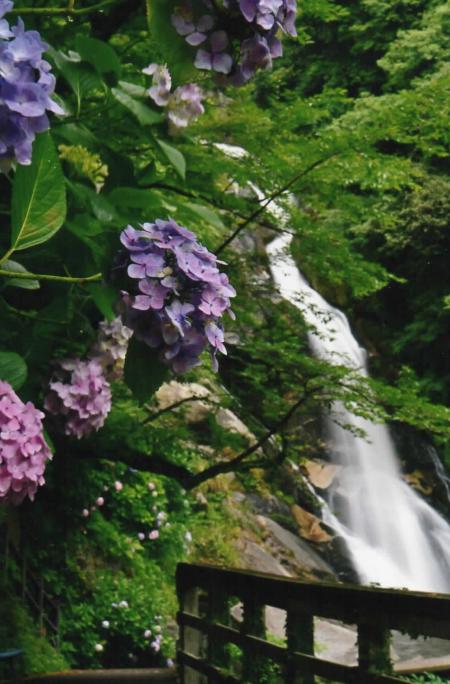 佳作 山田 修平 様